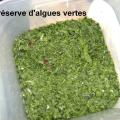 16 Mai 2018 - Cueillette des Algues à Brignogan