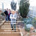 La cactuseraie de Creismas en Guipavas