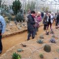 La cactuseraie de Creismas en Guipavas