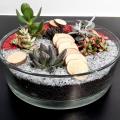 Cours du 14 & 15 Octobre 2021 - Composoition de Succulentes