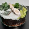 Cours du 14 & 15 Octobre 2021 - Composoition de Succulentes